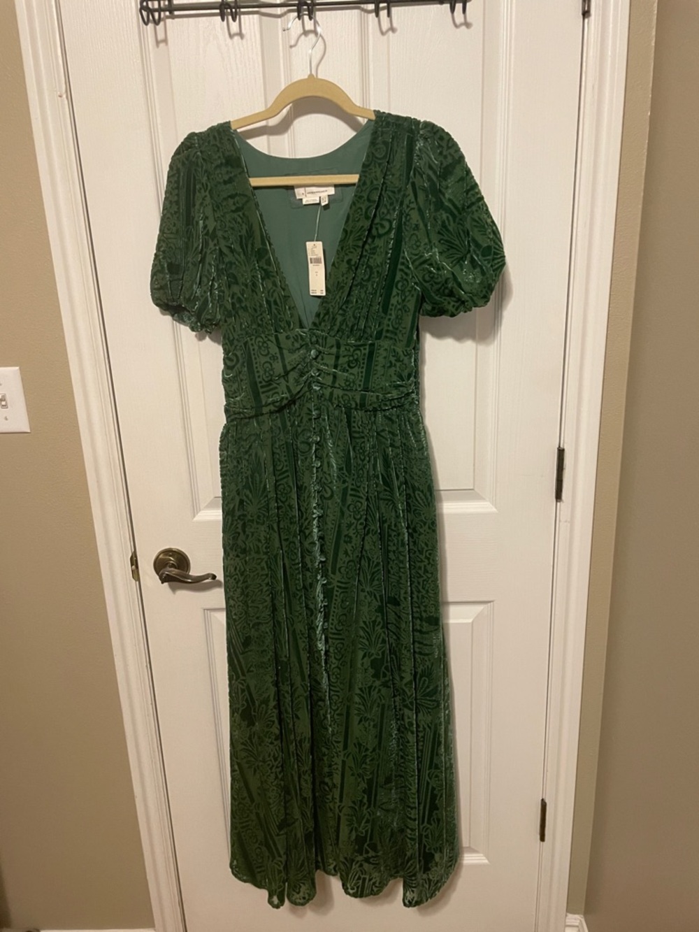 Anthropologie Deep Green Velvet Burnout Maxi Dress